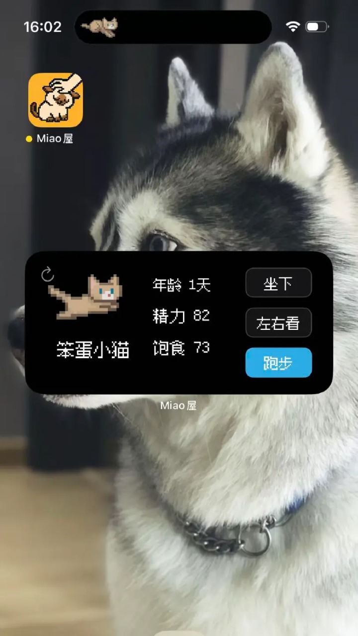 Miao屋最新免费版图4