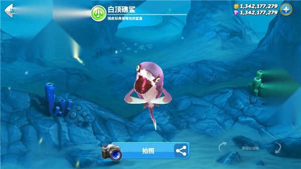 hungry shark老版图1