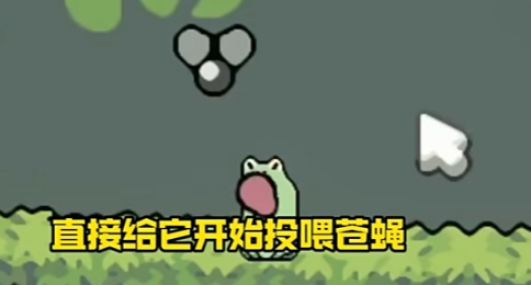 蛙蛙养殖场官方版图3