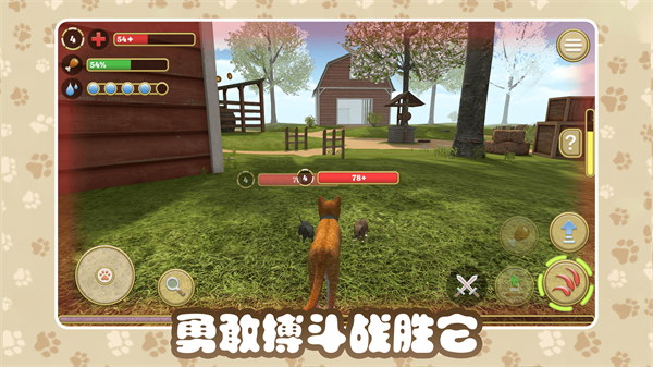 猫咪农场(1)