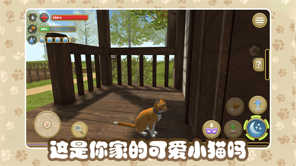 猫咪农场(4)