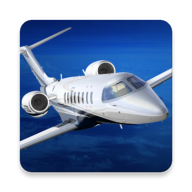航空模拟器 