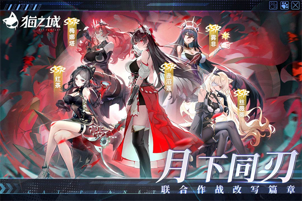猫之城小米版(1)