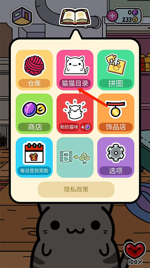 小偷猫