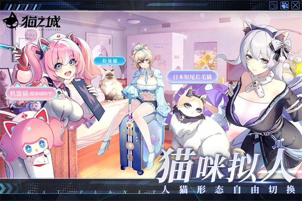 猫之城小米版(5)