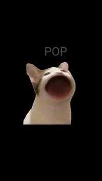 PopCat游戏绿色版图4