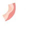 食物大混搭Bacon游戏官方最新版