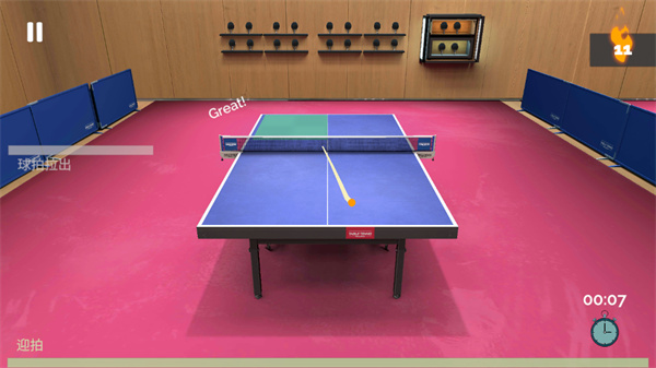 真实乒乓球(TableTennisReCrafted)直装版图2