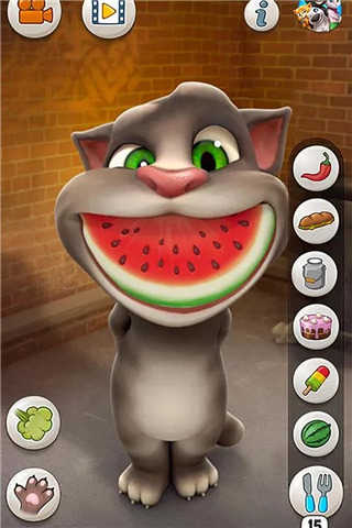会说话的汤姆猫旧版图4