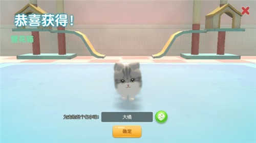 养了个猫联机版截图4