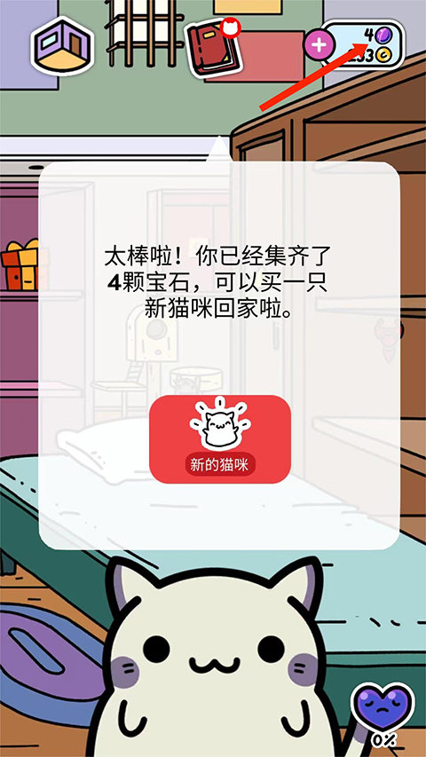 小偷猫
