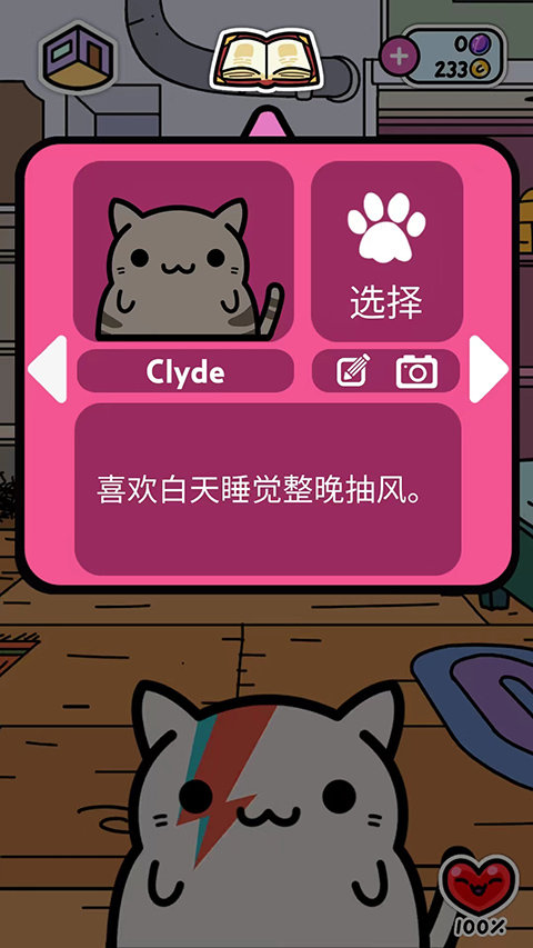 小偷猫