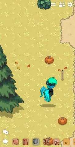 ponytown小马镇.8(3)