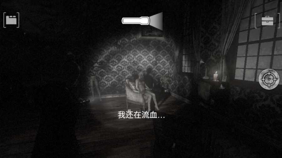 失落的记忆(1)