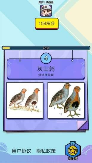 飞鸟乐园游戏机手机版(3)