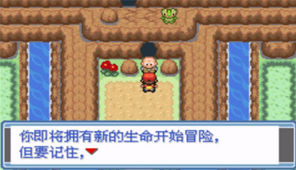 宝可梦永恒之焱xyz神兽版(3)