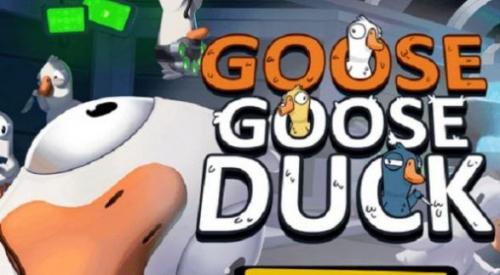goose goose duck-图2
