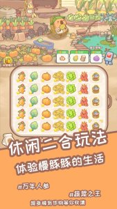 慢豚豚的生活(2)