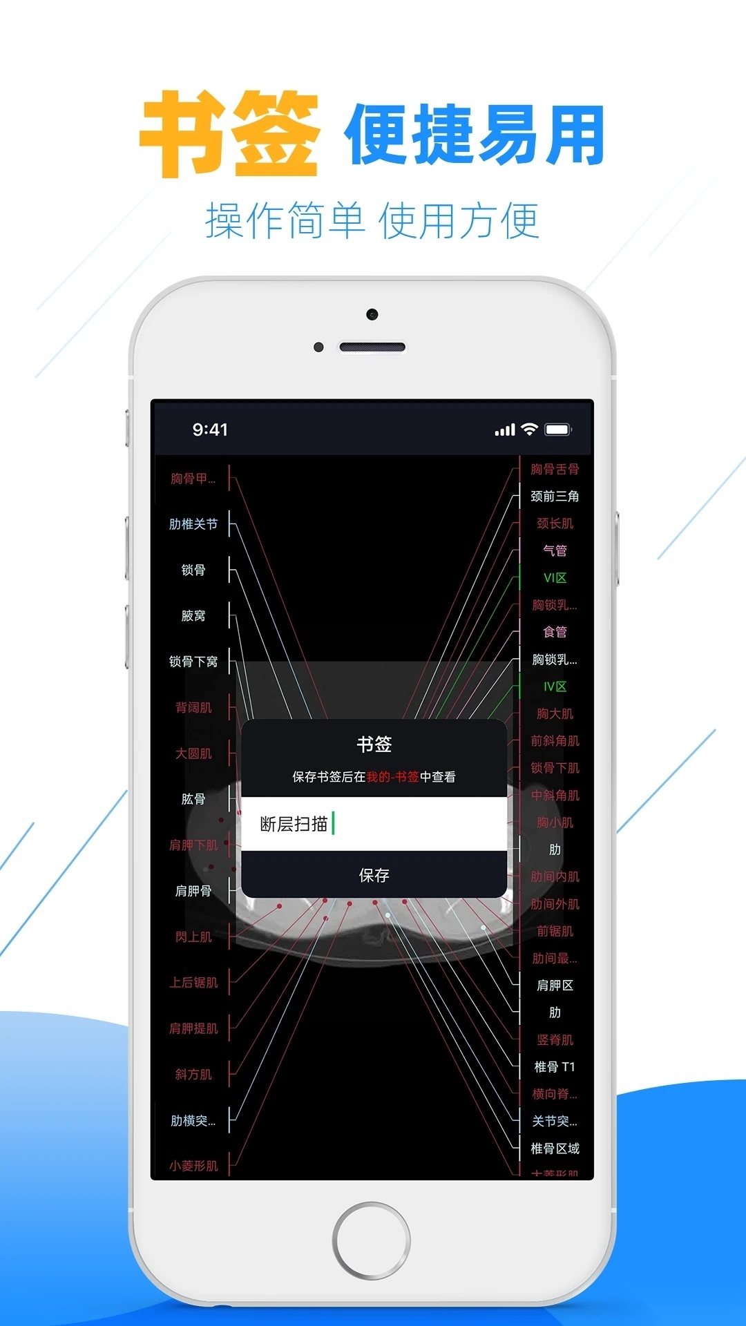 影像解剖图谱最新版(2)