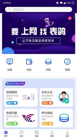 表鸽