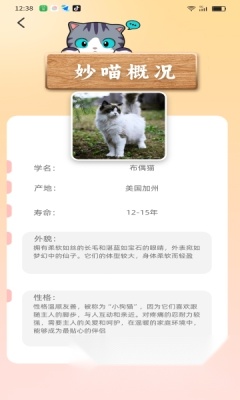妙喵乐看(3)