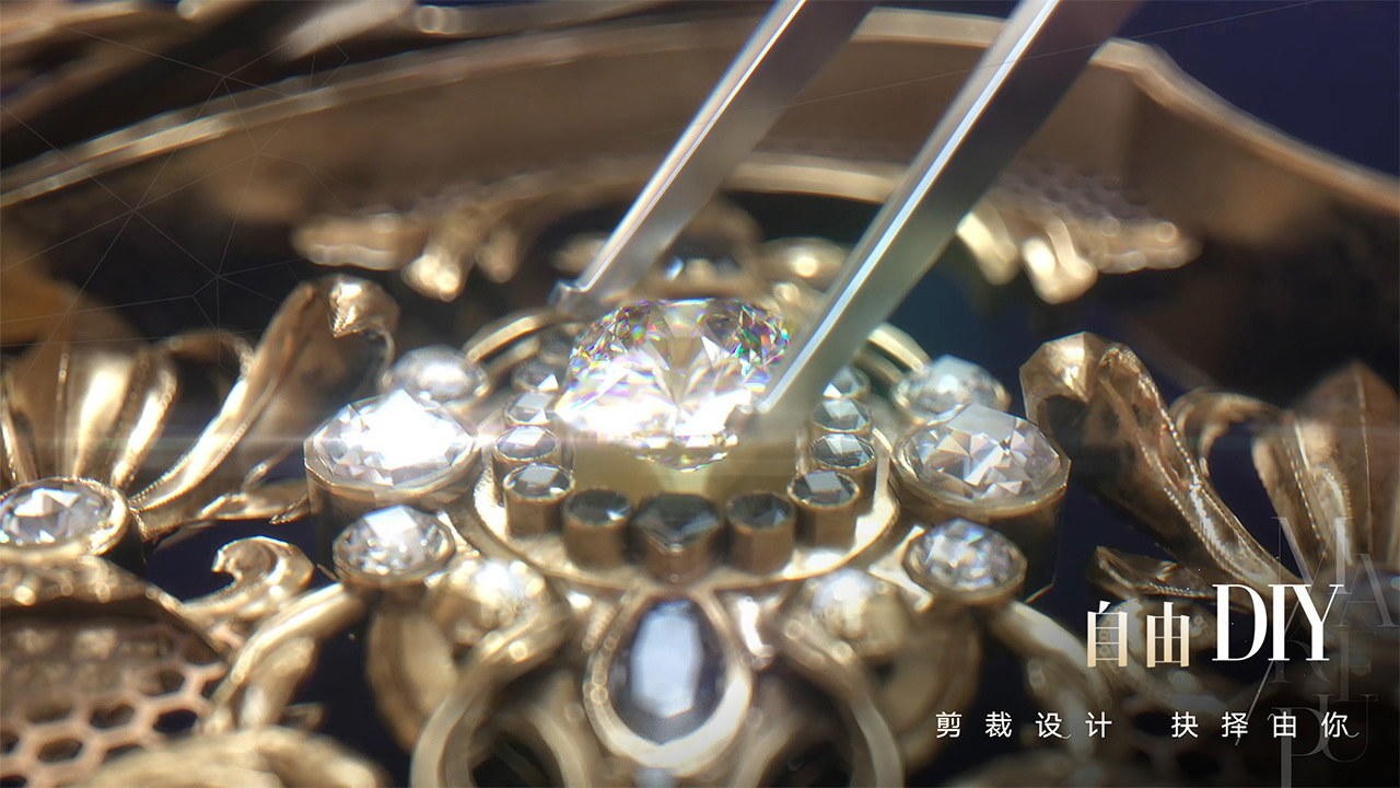 以闪亮之名正版