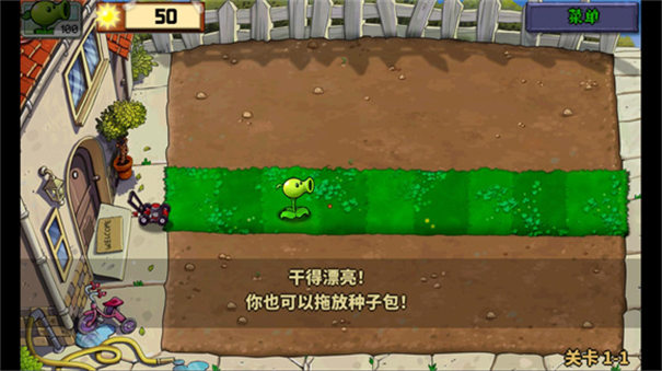 植物娘大战僵尸庄不纯游戏纯净最新版图3