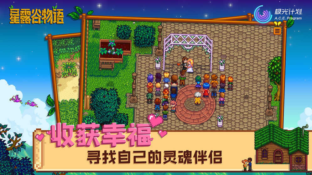 星露谷物语免费版(3)