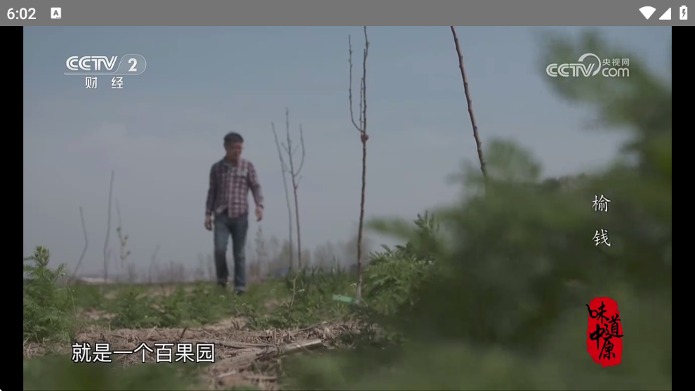 WEB电视TV版图2