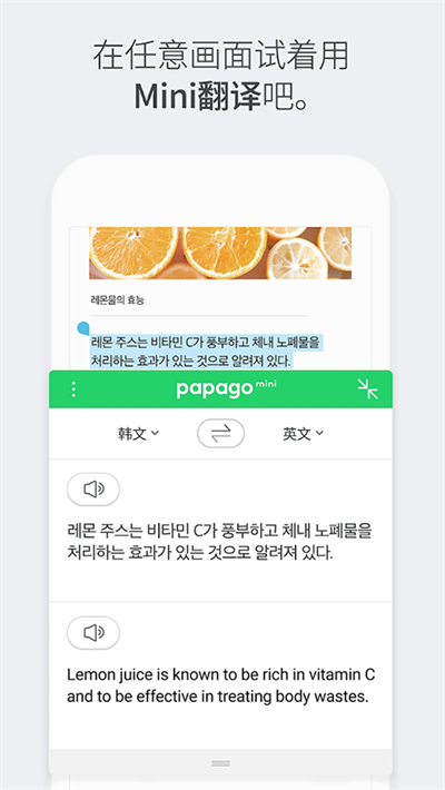 papago翻译最新版