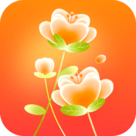 花令壁纸官方最新版 V1.0.1