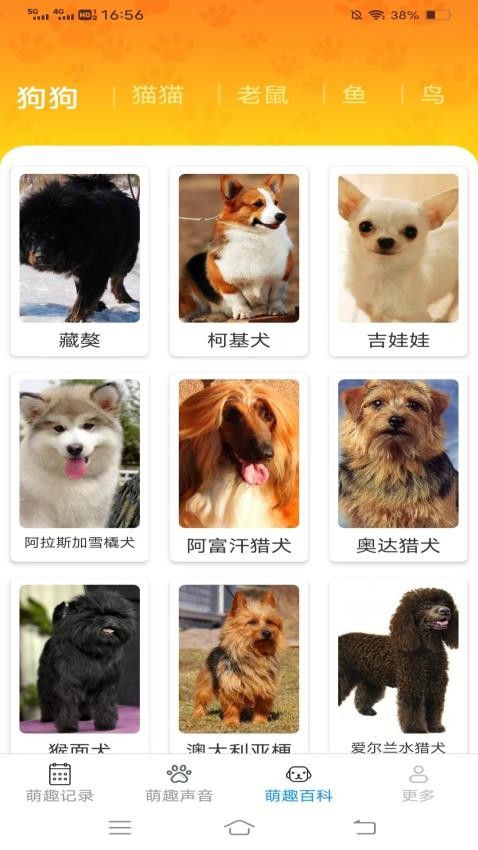 萌趣多多图2