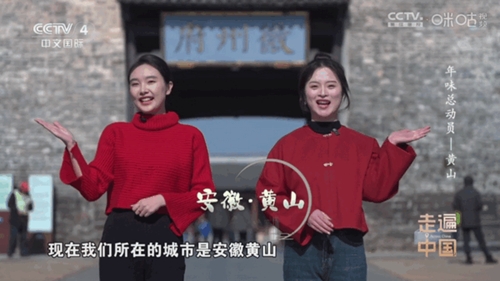 悠悠电视TV最新版图1