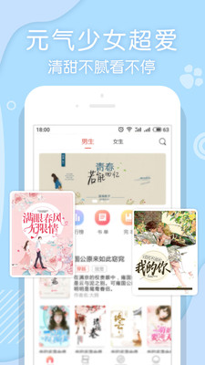 翻糖小说安卓版图3
