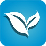叶子tv最新2026 v1.1.8