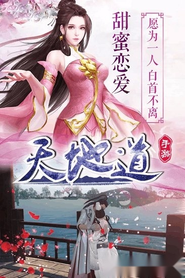 天地道游戏安卓版