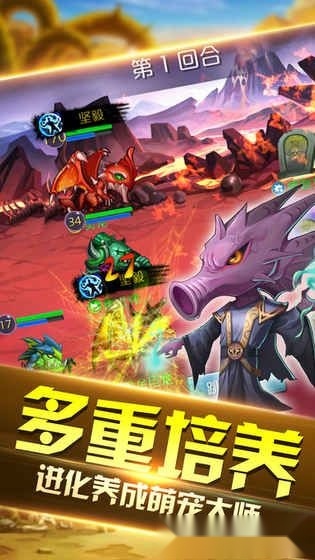暴风王城游戏官方版图1