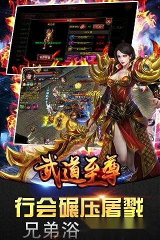 武道至尊游戏安卓版图2