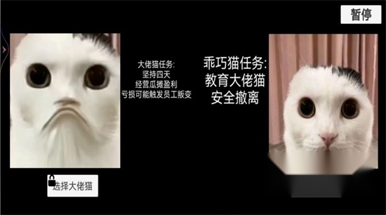 恐怖猫猫惊魂游戏完整版图2
