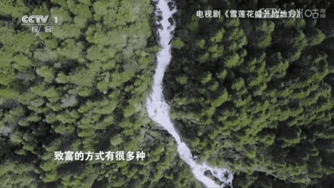 过客tv最新版(3)