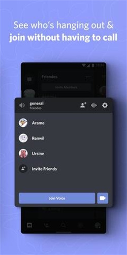 discord(4)