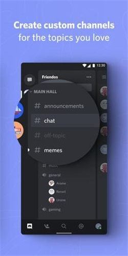discord(1)