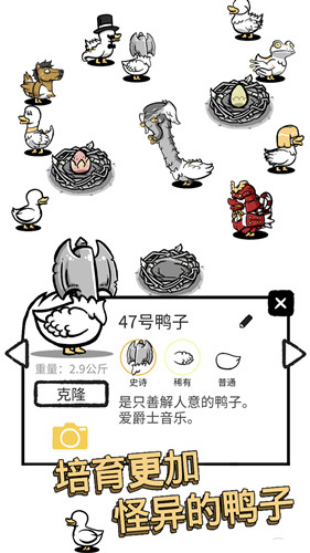 奇怪的鸭子2无广告免费版图1