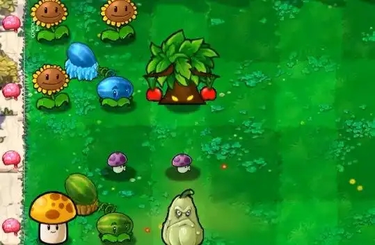 PVZ没有名字版图4