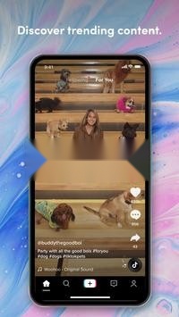 tiktok