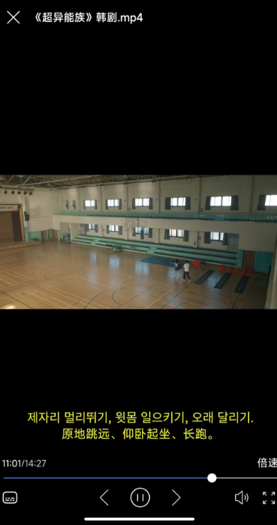 X字幕最新版图3