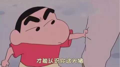 一定是特别的缘分才能认识你这头猪 图2