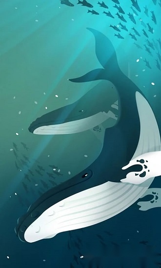 深海水族馆中文版(4)