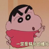 一定是特别的缘分才能认识你这头猪
