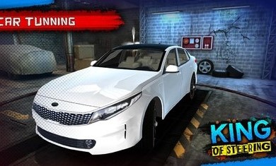 转向之王(4)